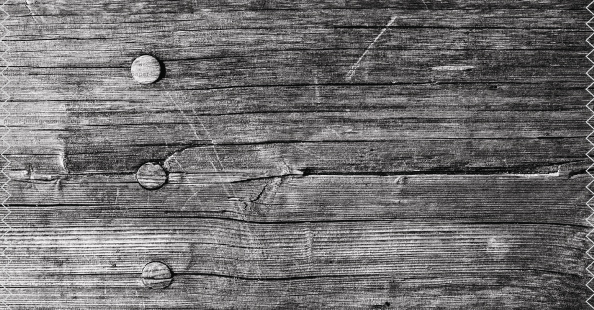 Rustic timber background